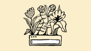 Illustration of a search bar with flowers growing out of it.