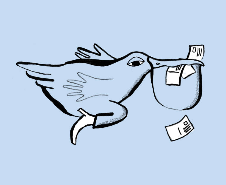 Illustration of a seagull with a postcard