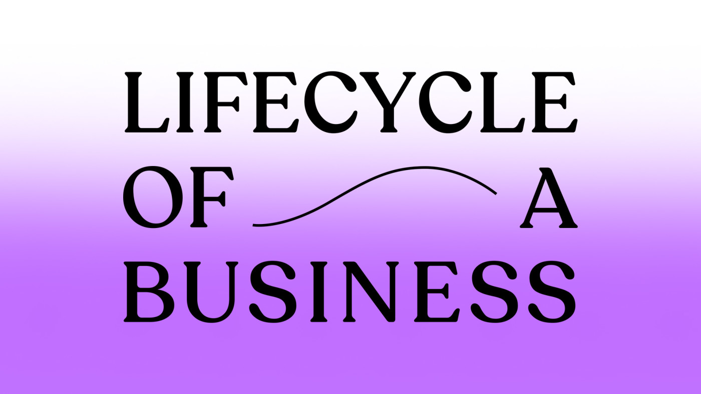 Lifecycle of a Business