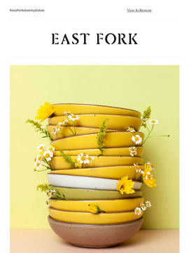 A thumbnail of an email sent by East Fork