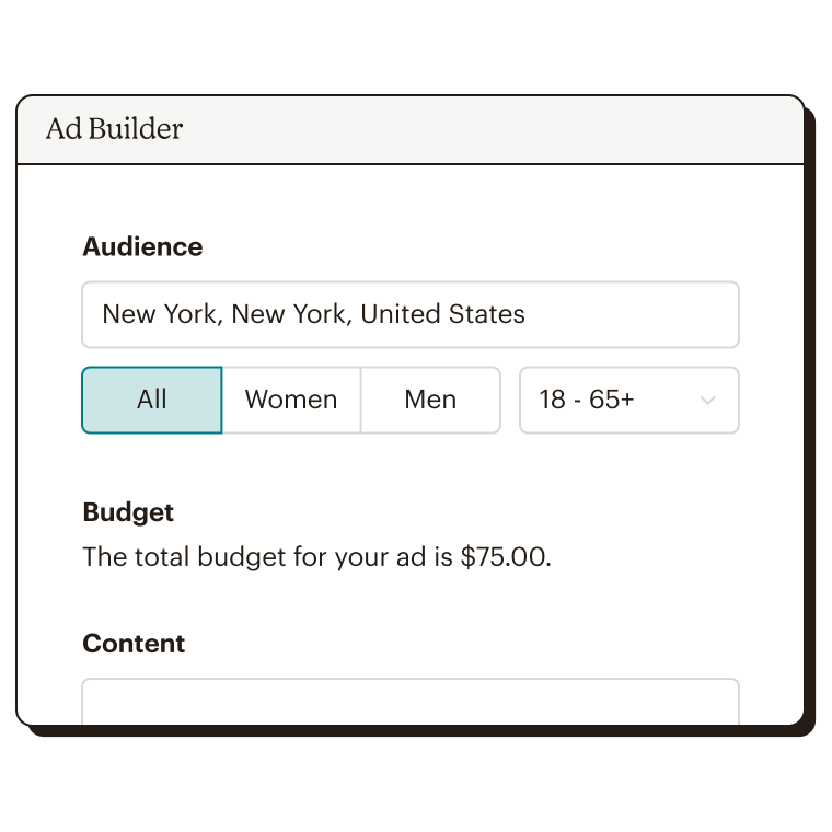 Audience and budget step of the Facebook ad builder