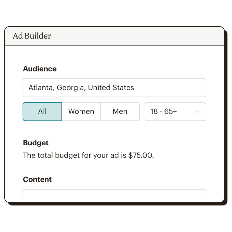 Audience and budget section of the Instagram ad builder