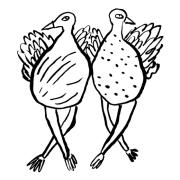 Doodle of two birds dancing.